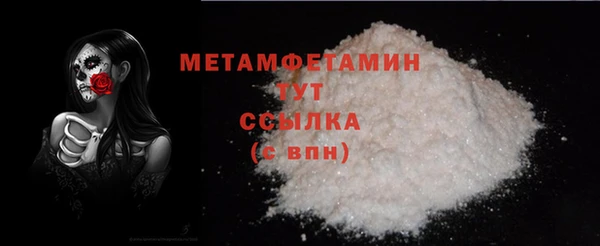 прущие грибы Дмитров