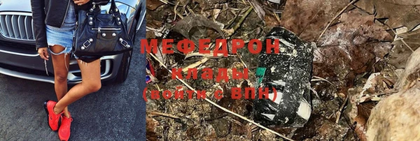прущие грибы Дмитров