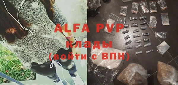 прущие грибы Дмитров