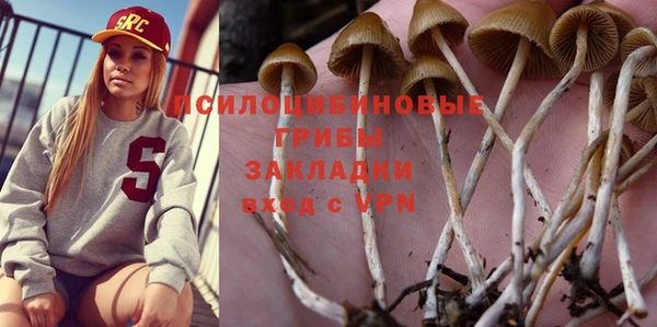 тгк Гусиноозёрск