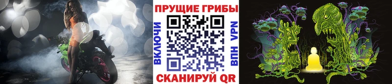 Галлюциногенные грибы прущие грибы  Купить  Аркадак 