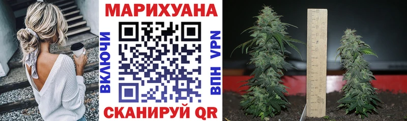 Купить где  Аркадак  МАРИХУАНА Ganja 
